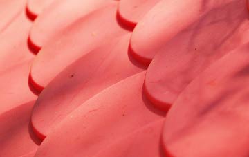 Lache plastic roof costs